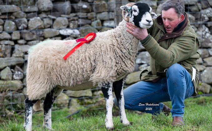 Grayrigg Hall's reserve champion, £3,100