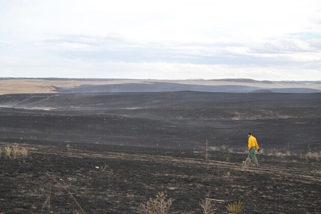 Douglas County wildfire chars more than 1,000 acres
