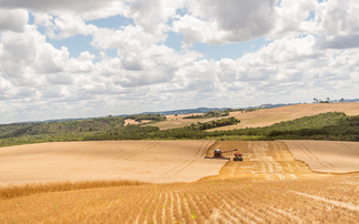 Brazil expecting record grain harvest