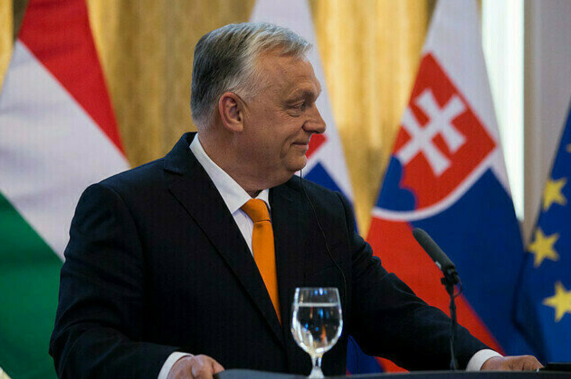 Ukraines accession would bring war to EU  Orban