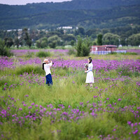 CHINA-INNER MONGOLIA-HOHHOT-GRASSLAND-TOURISM (CN)