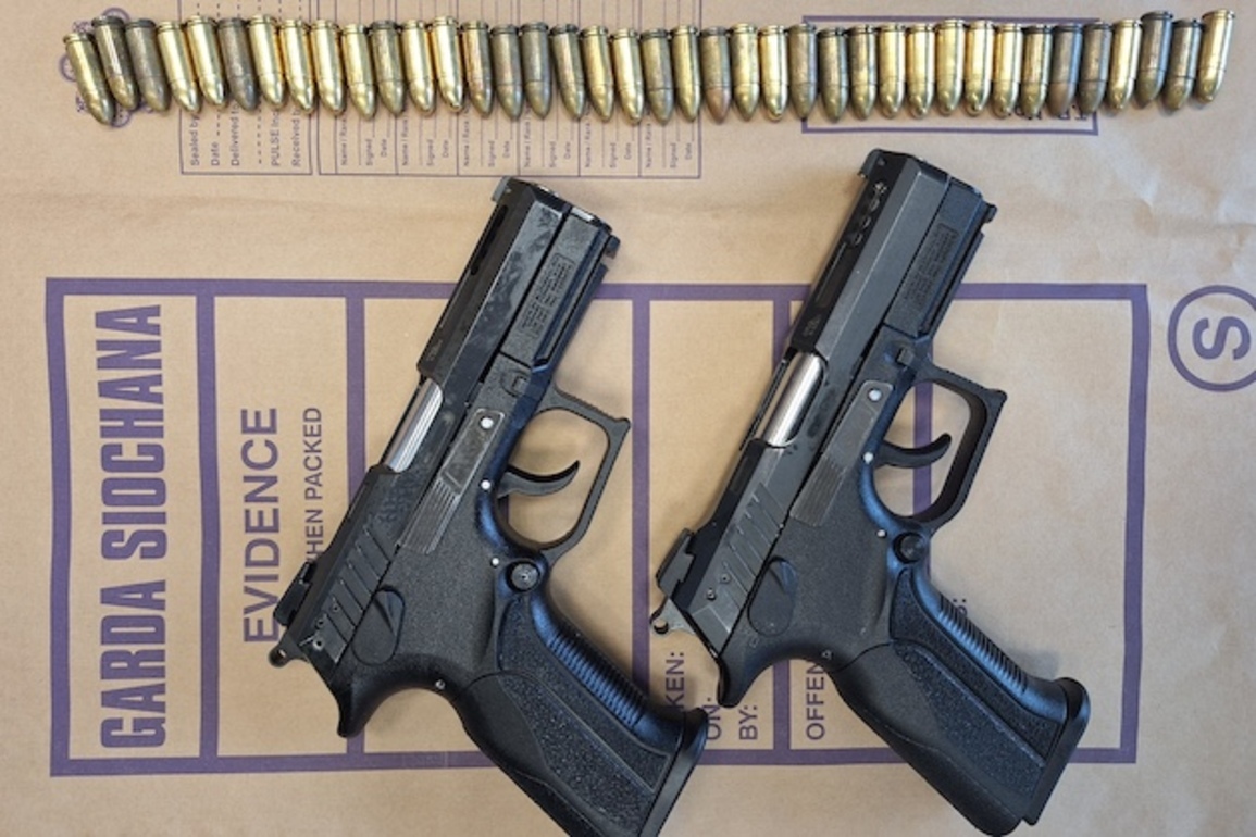 Suspect in custody after Gardai confiscate firearms, ammo