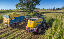 Cruising through the crops with New Holland's latest forager