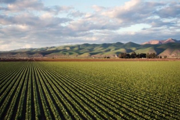 Laos earns over 870m USD from agricultural exports in first half of 2022