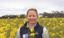 Winter canola could reduce HRZ risk