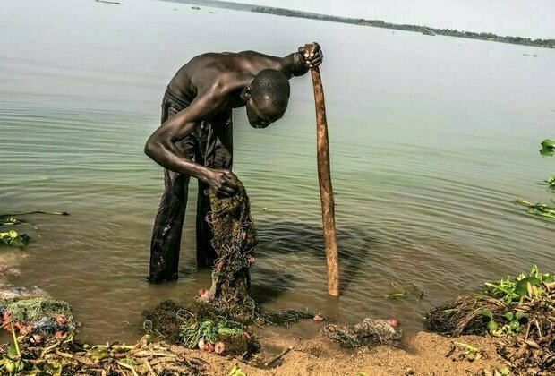 Lake Victoria is turning green - the deadly bacteria behind it