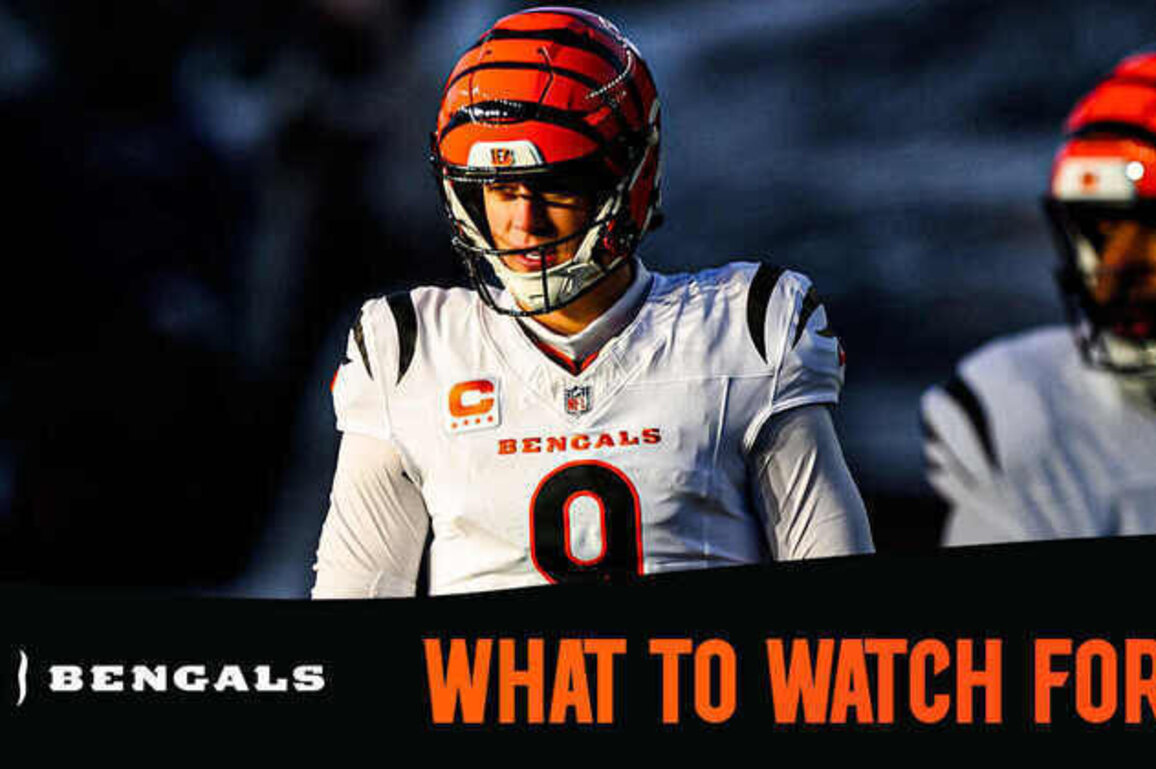 What to Watch For | Bengals at Dolphins Week 16