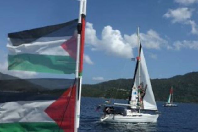 Amid global backlash, all Gaza flotilla activists deported by Israel