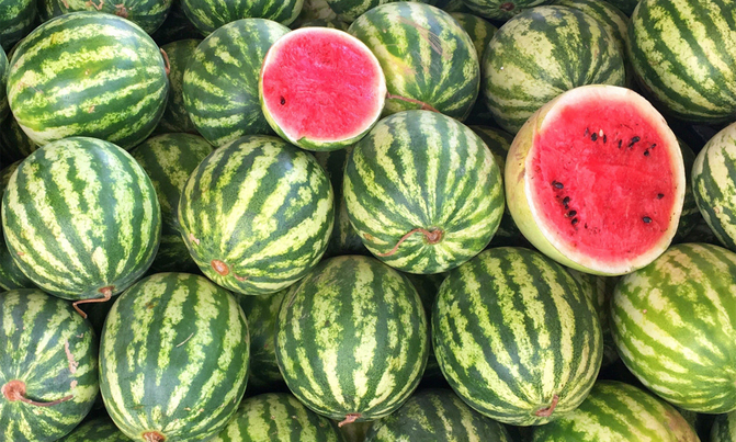 Melons: Use preventative spray to control pests and diseases Melons: Use preventative spray to control pests and diseases