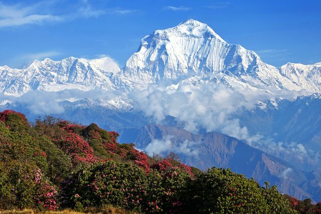 How plankton helped create the Earth&#039;s mountains 2 billion years ago