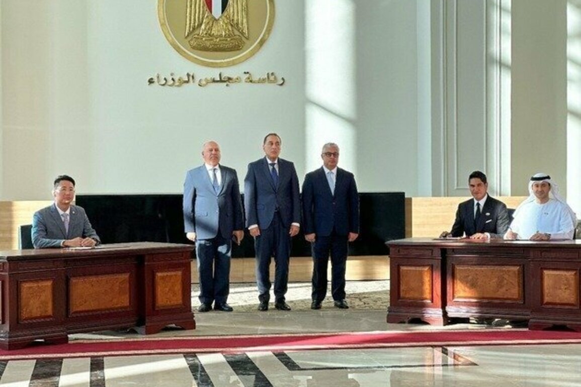 UAE firm joins global solar partnership in Egypt with $220m investment