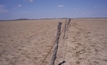 Farmers seek return of drought rebates