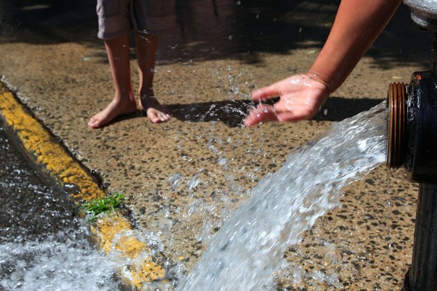 Adapting cities to a hotter world: 3 essential reads