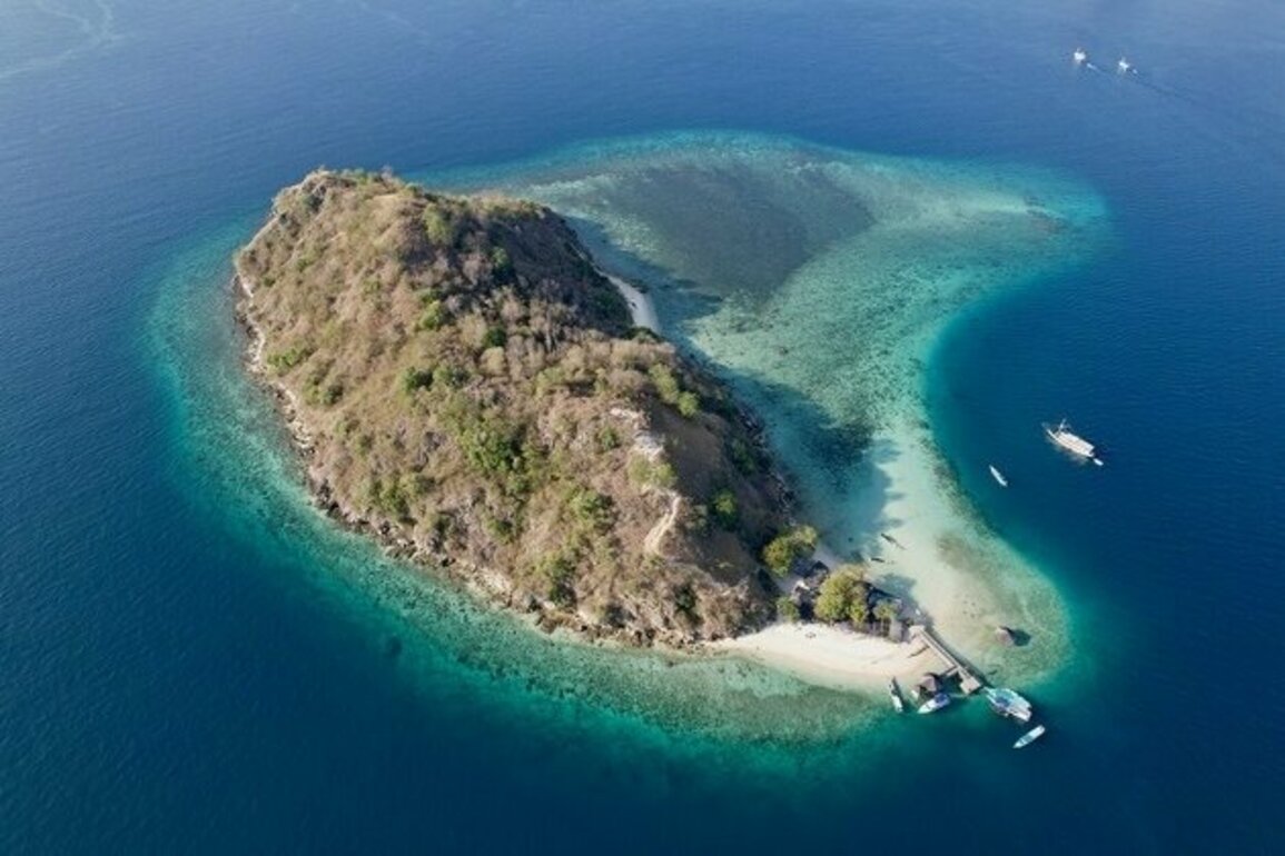 Indonesia introduces bond to fund marine conservation