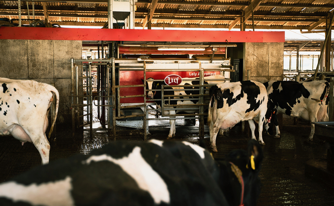 How cows access robot milking systems is dependant for each individual farm. 
