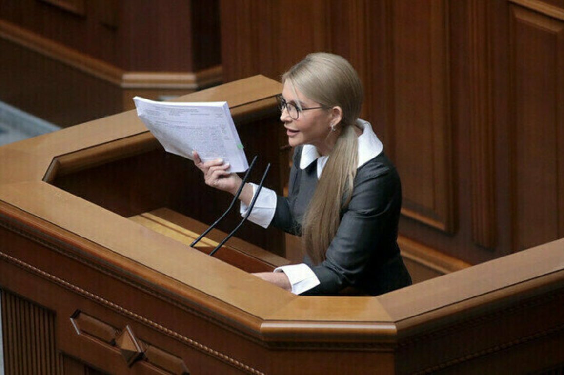 West has unacceptable control over Ukraine  former PM