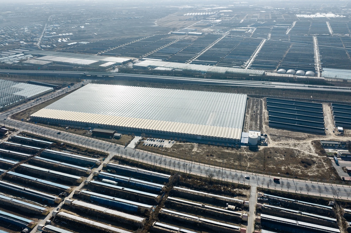 (VistaNingxia) CHINA-NINGXIA-YINCHUAN-FLORICULTURE INDUSTRY (CN)