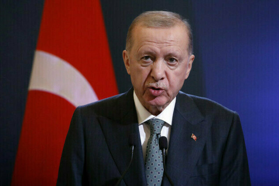 Putin and Zelensky not yet ready to meet  Erdogan