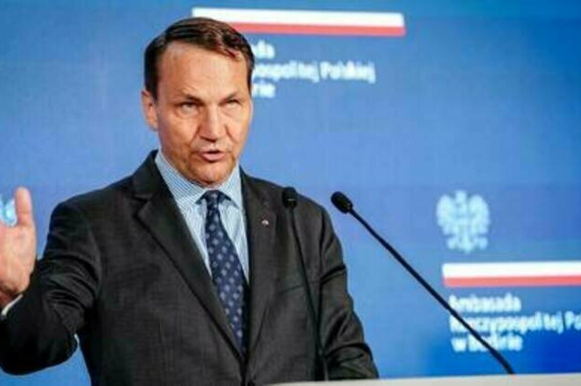 NATO state threatens to shoot down Russian aircraft