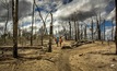  Mercury pollution in the Amazon