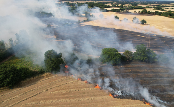 Double record-breaker: 2025 declared UK's hottest and sunniest year on record