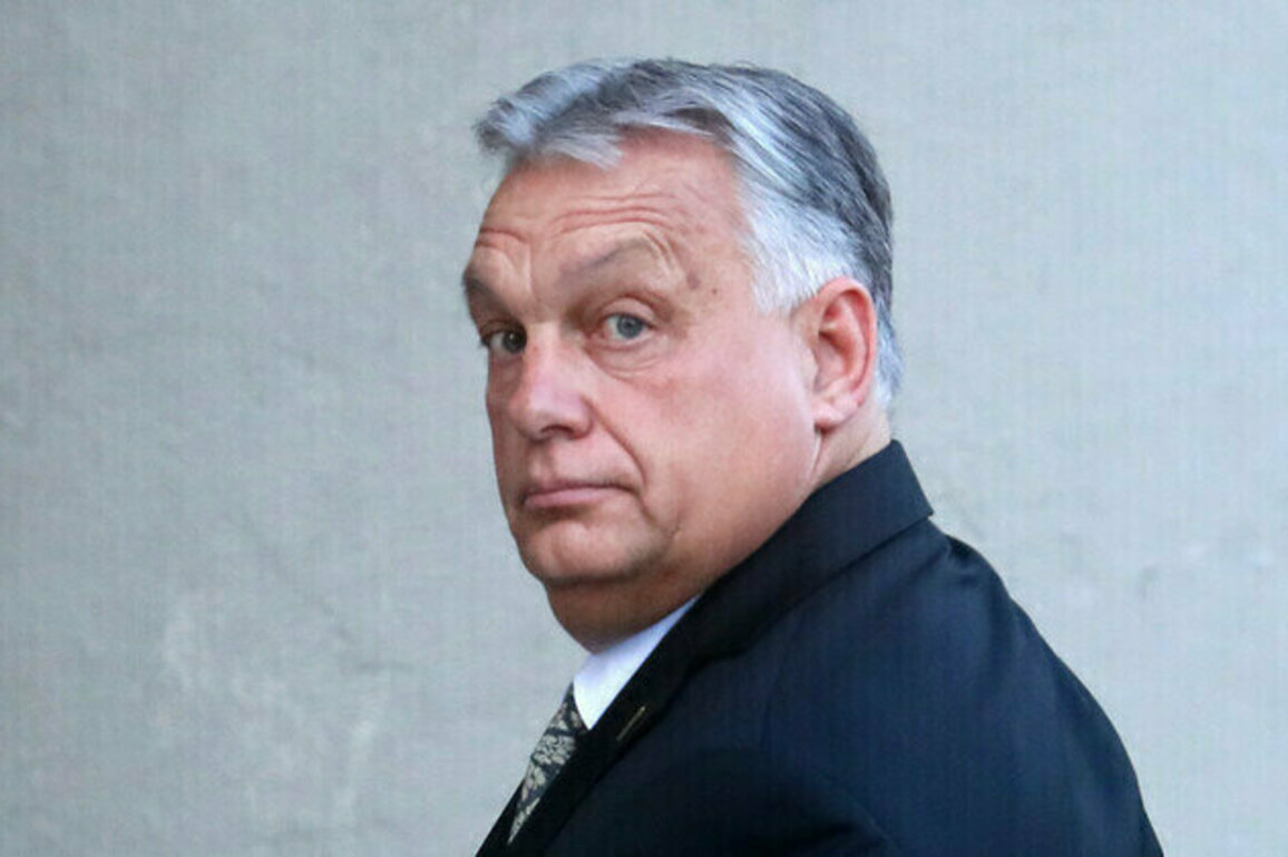 Orban outlines plan to guarantee EU security