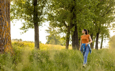 Study: Woodland access in urban areas linked to reduced antidepressant use