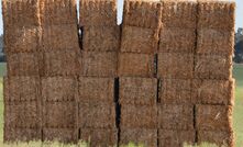 A WA hay processor has been fined after a worker suffered a broken leg and de-gloving. 