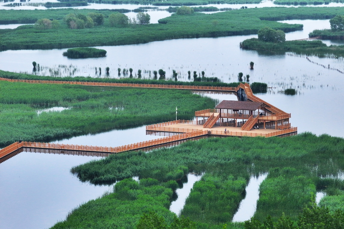 (FlyOverChina) CHINA-HEBEI-XIONG'AN-BAIYANGDIAN LAKE-EARLY SUMMER-SCENERY (CN)