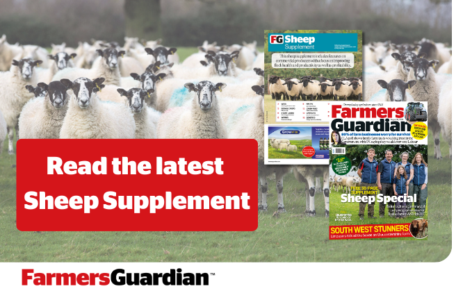 Read Farmers Guardian's latest Sheep Supplement