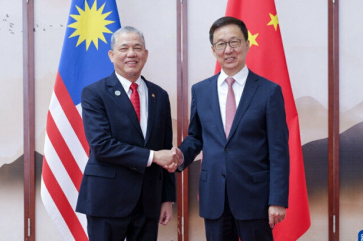 Chinese vice president meets Malaysia's deputy PM