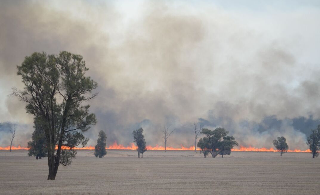 Some parts of southern New South Wales have been impacted by bushfires following hot and windy conditions in December.