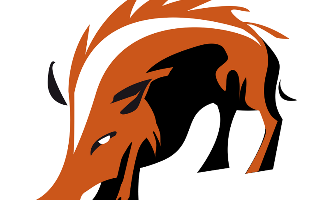 Where does coal fit in a net-zero world?