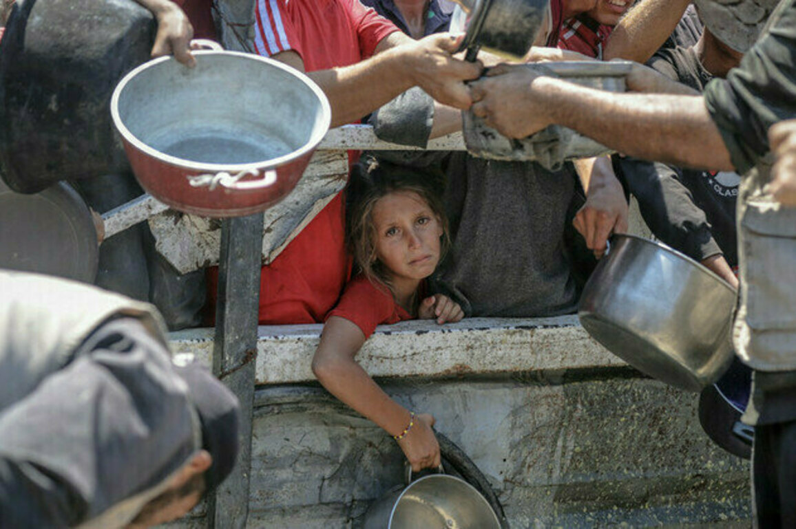 Israels Gaza aid drops are a smokescreen  UN agency chief