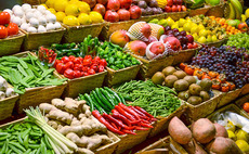 Trajan Capital backs Thomas Plants MBI