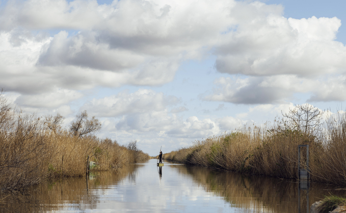 Agrivair Garrigue Programme in Vergèze, France | Credit: Nestlé