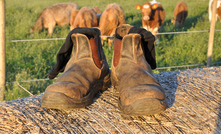 WorkSafe Victoria reminds farmers to stay safe this harvest with confronting campaign - “It's never you, until it is”. Credit: Anki Hoglund, Shutterstock. 