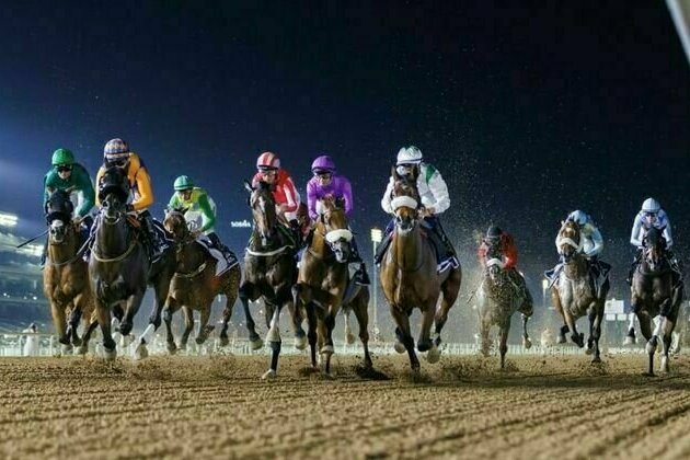 Dubai World Cup 2025: A legacy of excellence in horse racing