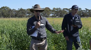 DPIRD research scientist and Feed365 project lead, Dr Daniel Real, said the year-round grazing strategy identified in the project could be tailored to specific enterprises. 