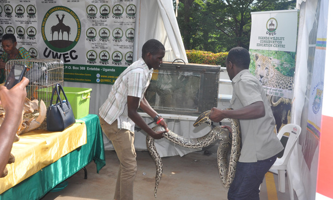 Python scares parliament staff Python scares parliament staff
