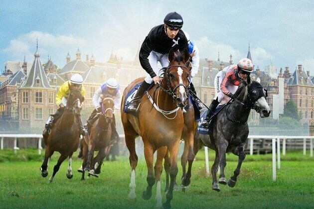 Eleven horses line up in Netherlands for 8th leg of UAE President's Cup for Purebred Arabian Horses