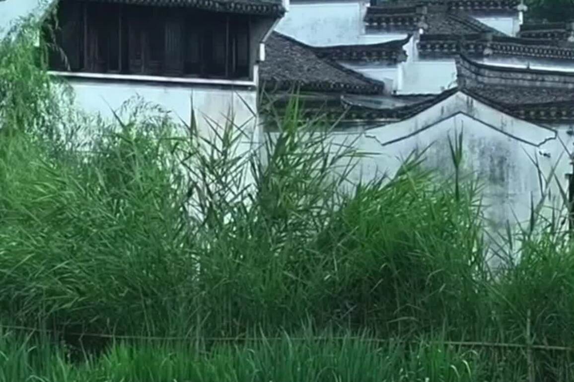 60"FlyOverChina | Picturesque scenery of Chengkan ancient village in E China's Anhui