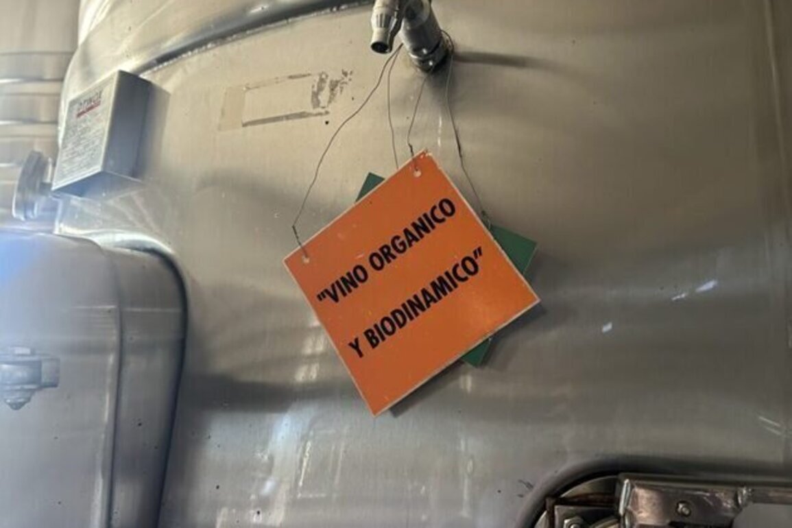 Argentine organic wine thrives in US, but finds smaller hype at home