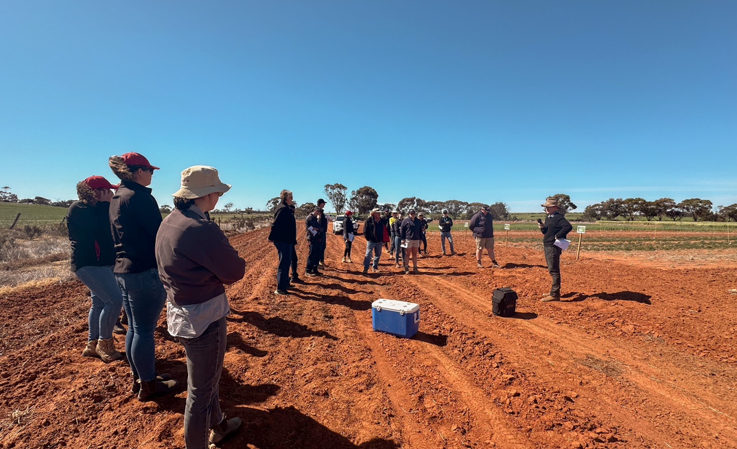 Agriculture Victoria senior research scientist, Professor Roger Armstrong, speaking to growers as part of the Northern Mallee Crop Walk earlier this year.