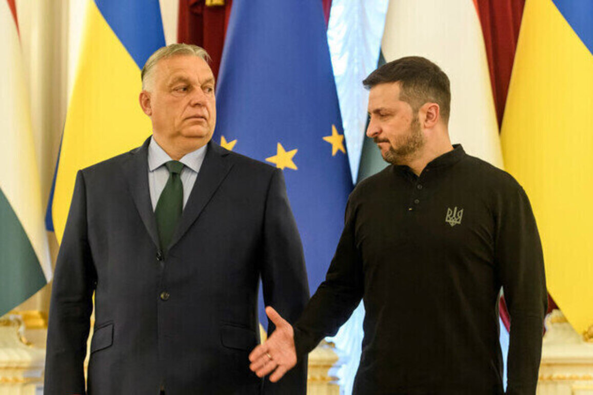 Zelensky is a man in a desperate position  Orban