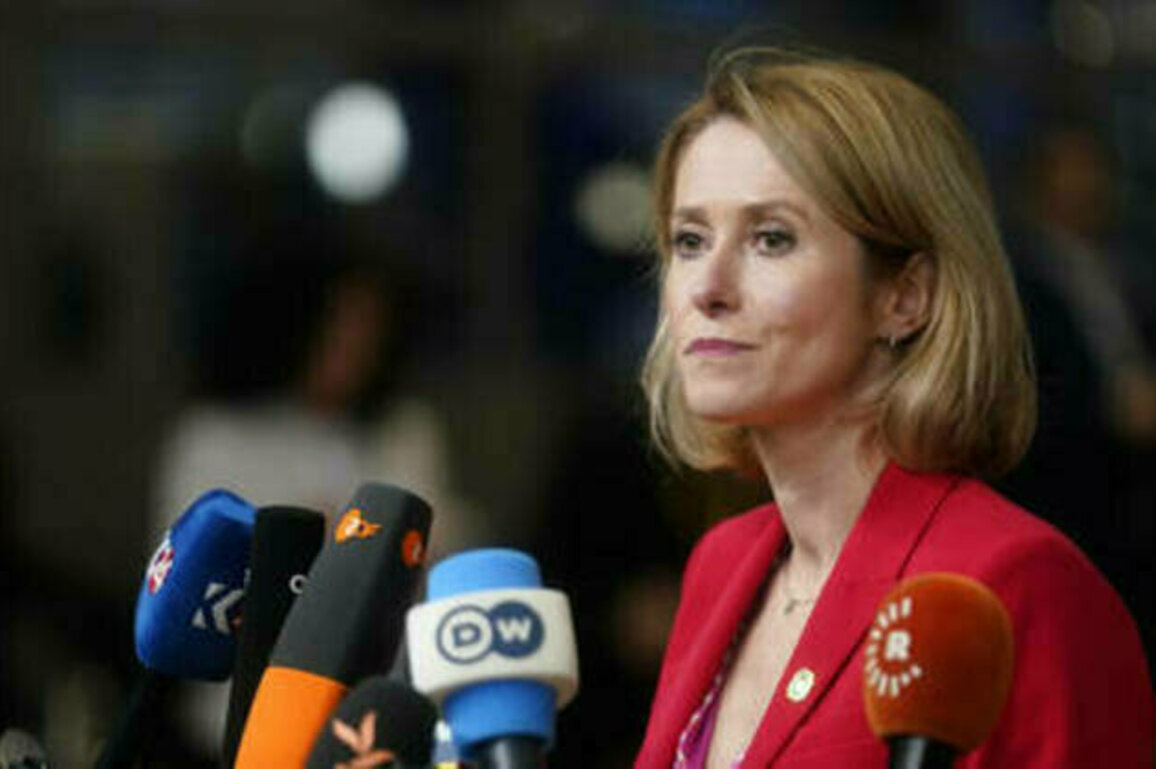 EU welcomes Trump's ultimatum to Russia