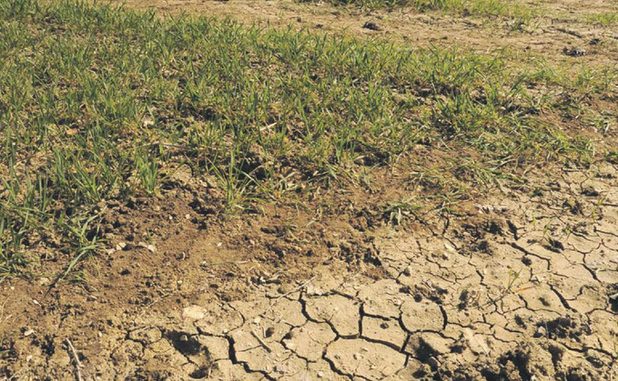 Driest July in England since 1935