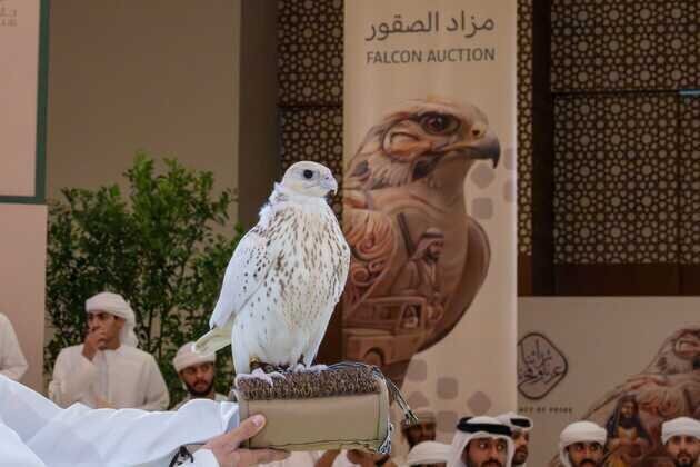 ADIHEX 2026 heads into final weekend of record-breaking auctions