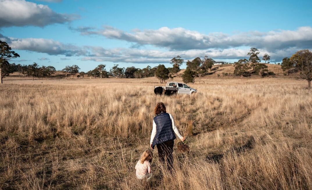 The Government is reportedly reconsidering its proposed changes to superannuation tax - which farming groups argue threaten farms held in SMSFs.
