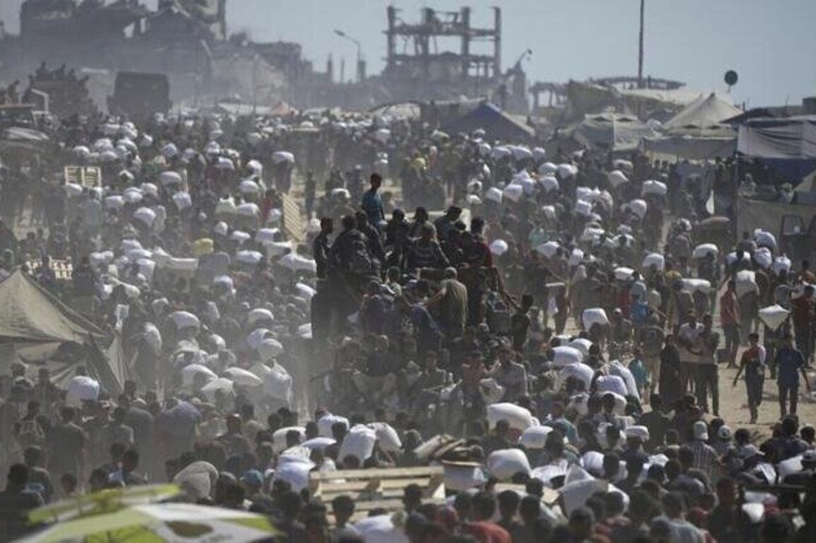 Famine in Gaza: 'The repercussions will continue for generations'